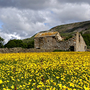 Reeth in North Yorkshire image